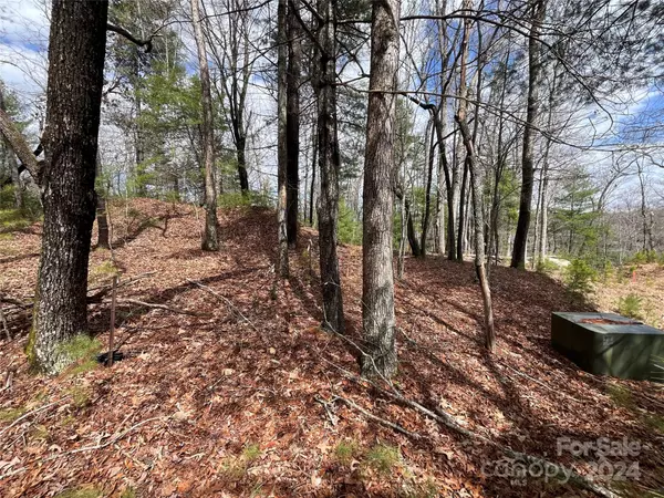 Arden, NC 28704,6 French Broad Overlook #Lot 2