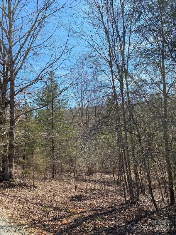 Nebo, NC 28761,Lot 23 Double Eagle DR