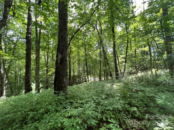 Brevard, NC 28712,0000 Courtney CT