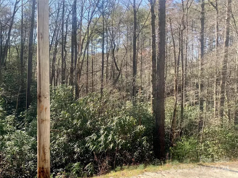 22 Double Creek RD #Lot 22 & 25, Brevard, NC 28712