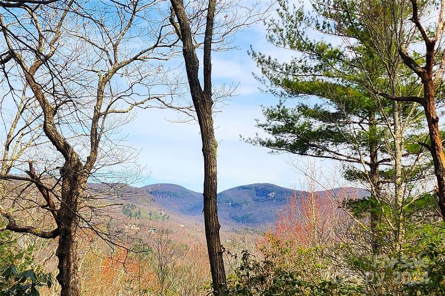 Lot 24 Lakeside TRL #24, Lake Toxaway, NC 28747