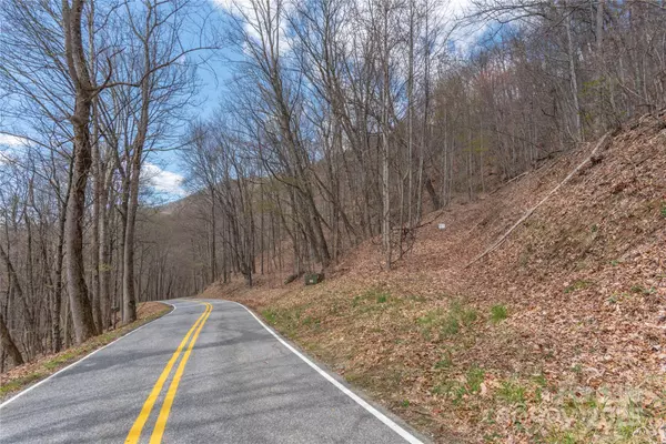 Waynesville, NC 28786,Lot 319 B & C Eagles Nest RD