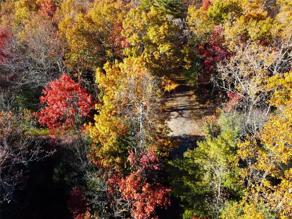 Penrose, NC 28766,Lot D1 000 Dogwood LN