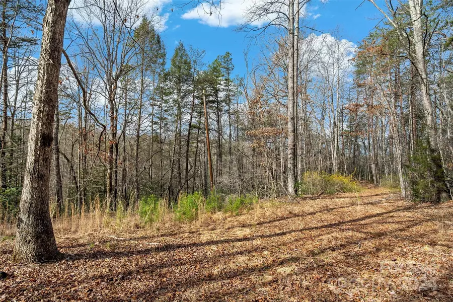 VL W Payne RD, Marion, NC 28752