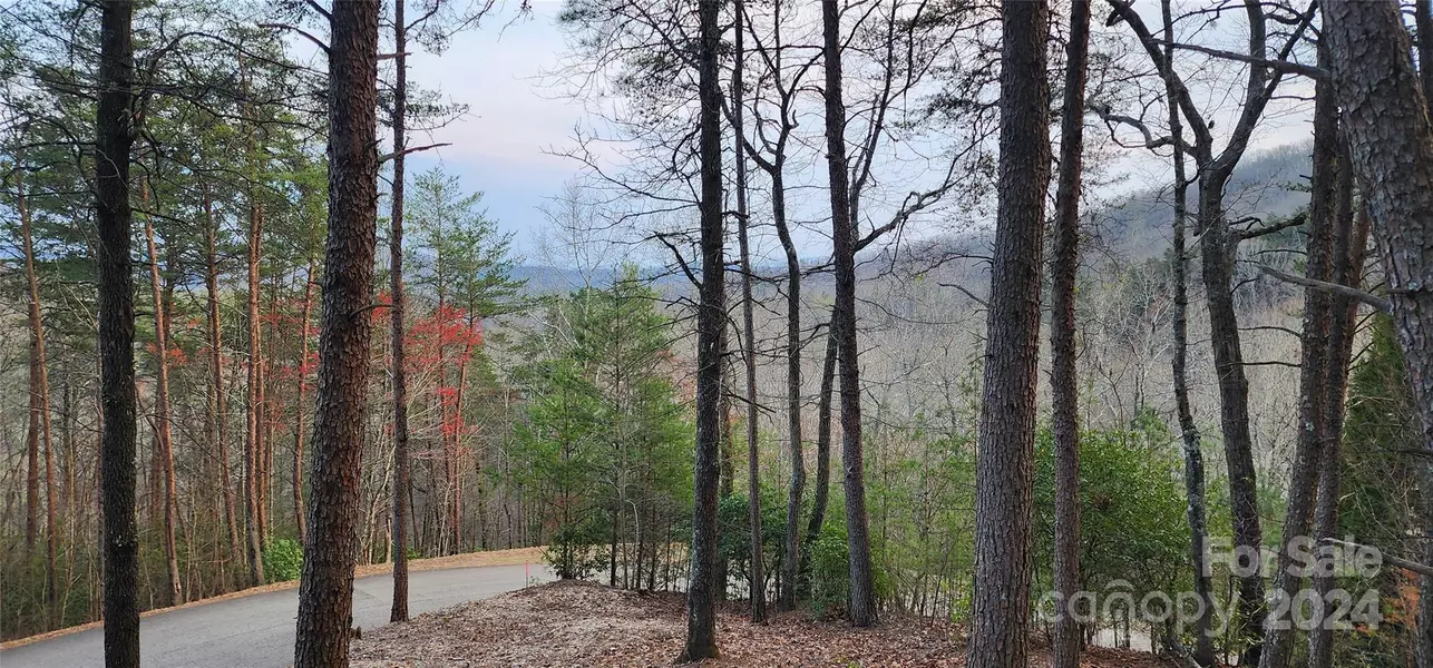 Lot 34 Wilderness Creek WAY #34, Murphy, NC 28906