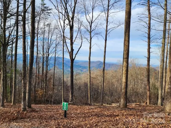 Lot 90 Wilderness Creek WAY #90, Murphy, NC 28906