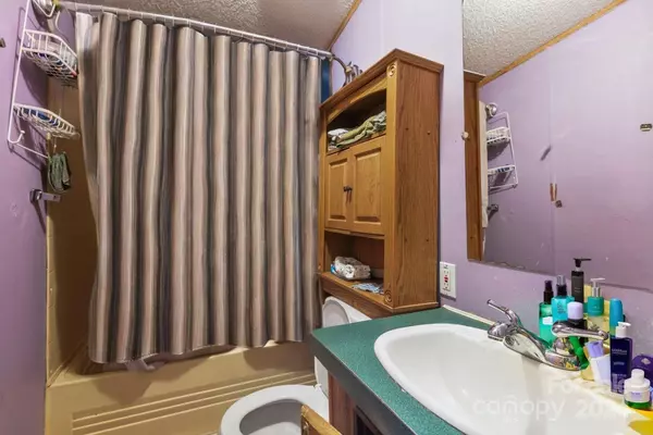 Alexander, NC 28701,3 Star Flower RD