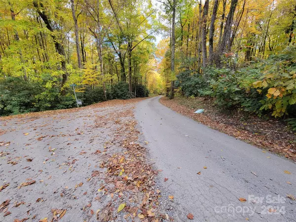 Maggie Valley, NC 28751,00 Covecrest LN #10