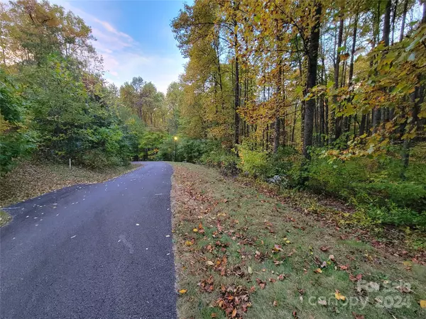 Maggie Valley, NC 28751,00 Covecrest LN #10