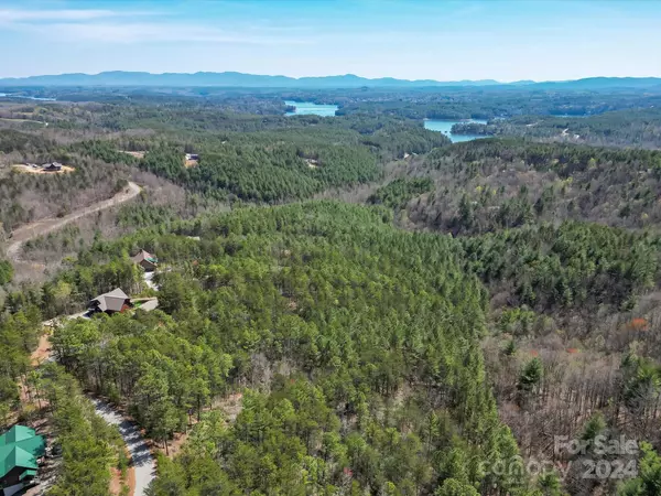 Nebo, NC 28761,9402 Shortoff View TER #53