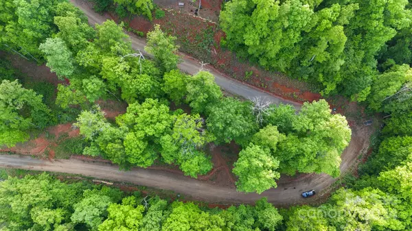 Swannanoa, NC 28778,99999 Dillingham Estates TRL