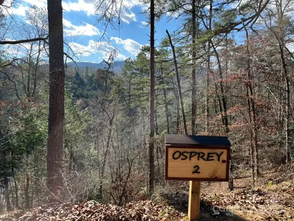 Sylva, NC 28779,Lot 2 Osprey Mountain WAY #2