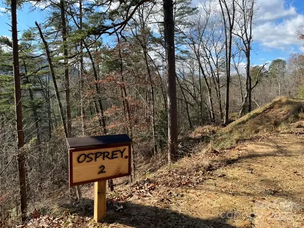 Sylva, NC 28779,Lot 2 Osprey Mountain WAY #2