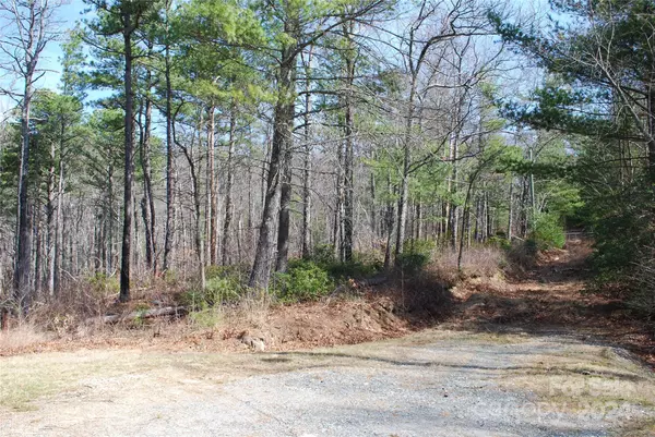 Lenoir, NC 28645,Lot 37 TBD Dugger Firetower RD