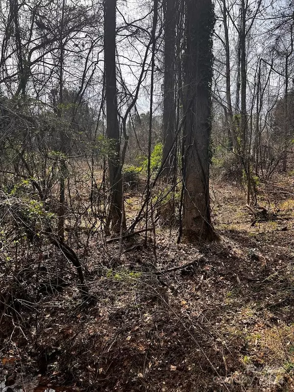 Hickory, NC 28601,0000 Cemetery LOOP