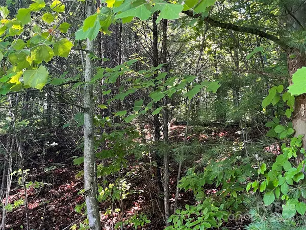 Marion, NC 28752,V/L 8 Westview DR