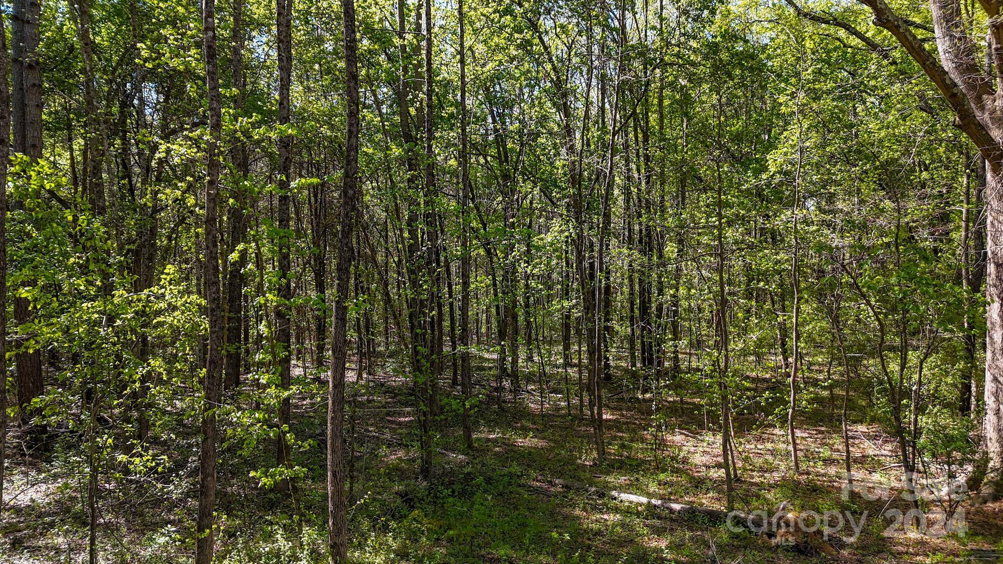 Gastonia, NC 28056,00 Sunset Ridge DR