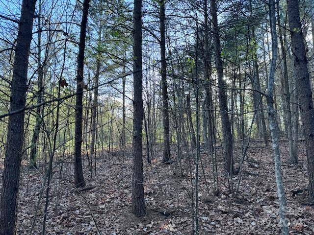 TBD High Trail DR #21B, Nebo, NC 28761
