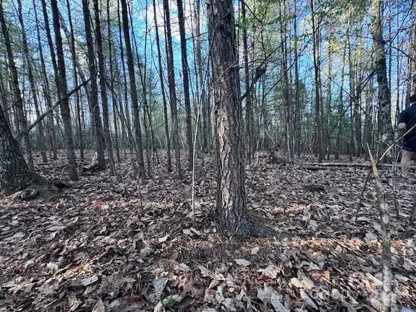 Nebo, NC 28761,TBD High Trail DR #21B