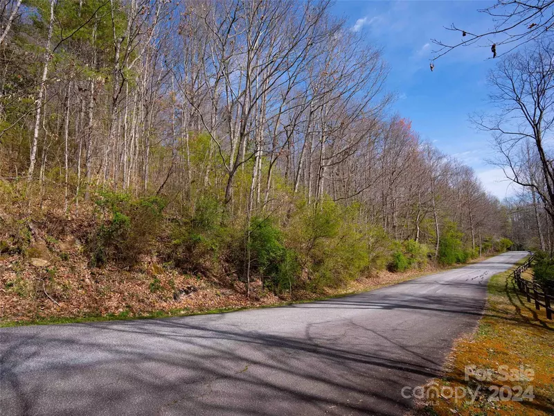Lot 29 Connemara Overlook DR, Hendersonville, NC 28739