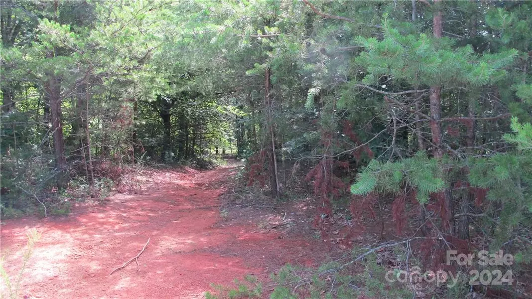 Lot 8 BAYLEIGH DR #8, Vale, NC 28168