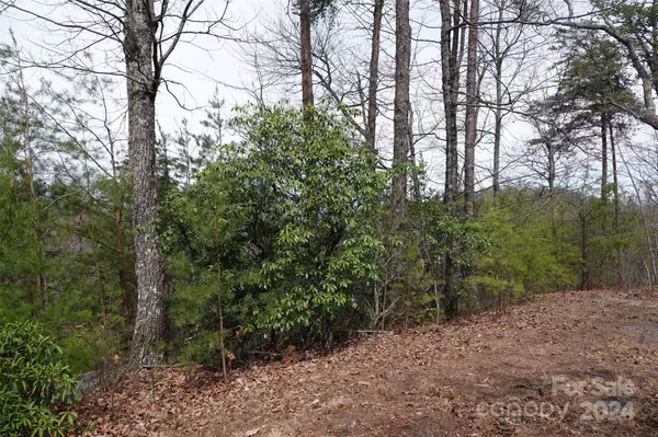 Bostic, NC 28018,69 Arbra Mountain WAY