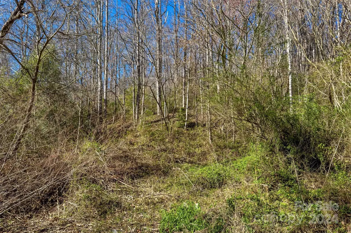 Old Fort, NC 28762,159 Shanty Town RD