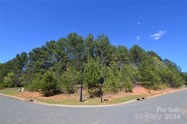 Belmont, NC 28012,4001 Beechwood Spring LN #45