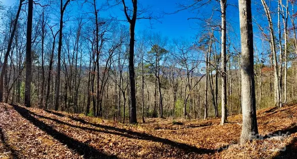 Sylva, NC 28779,Lot 3 Osprey Mountain WAY #3