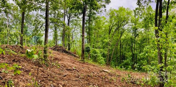 Sylva, NC 28779,Lot 3 Osprey Mountain WAY #3