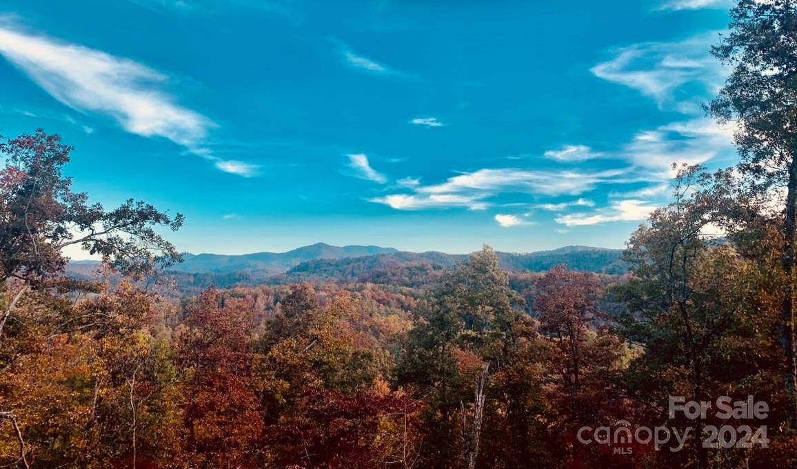 Sylva, NC 28779,Lot 4 Osprey Mountain WAY #4