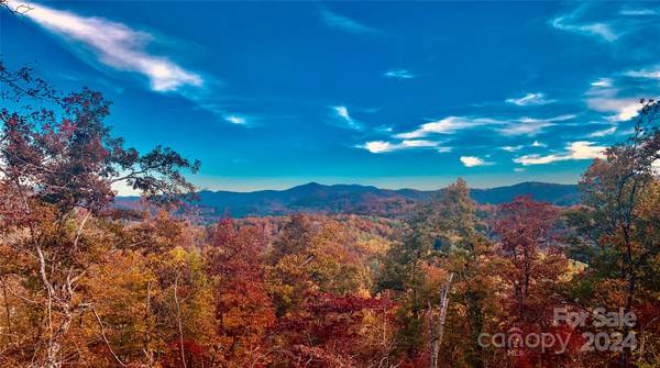 Lot 4 Osprey Mountain WAY #4,  Sylva,  NC 28779