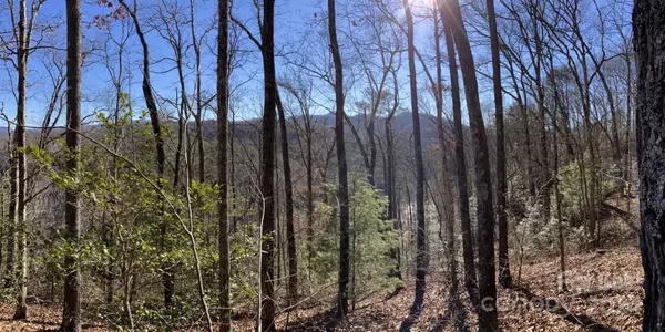 Sylva, NC 28779,Lot 4 Osprey Mountain WAY #4