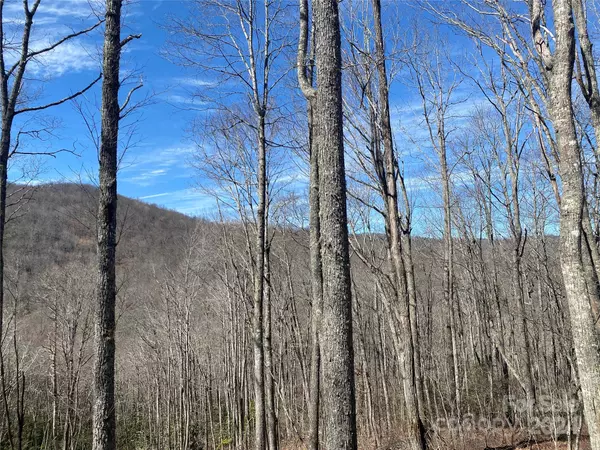 Lot C23 Roaming RD, Glenville, NC 28736