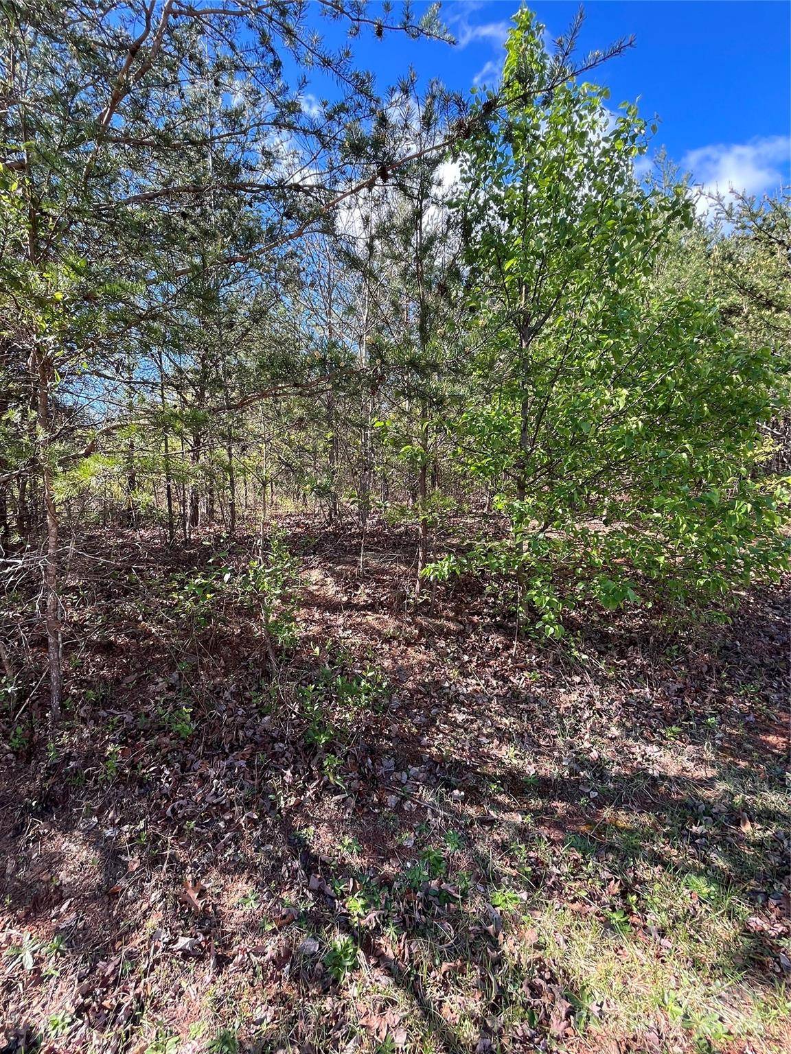 Lenoir, NC 28645,0 Solomon CT