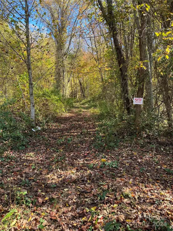Canton, NC 28716,8 Worley Cove RD #8