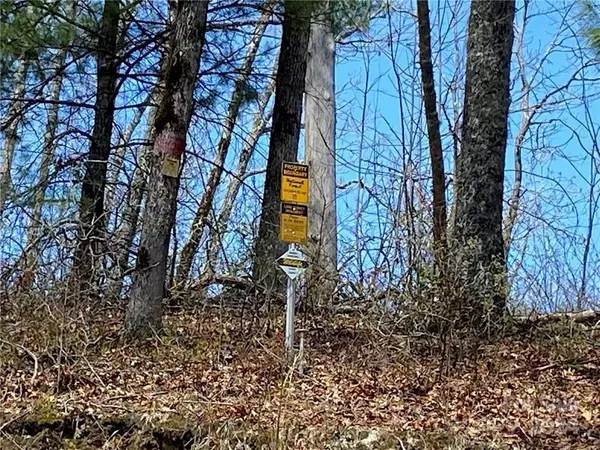 Bryson City, NC 28781,Lot 3 on Saturn WAY #3