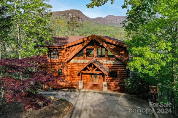 317 Waterside DR, Lake Lure, NC 28746