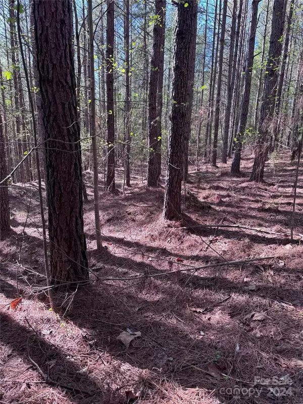 Rutherfordton, NC 28139,0 Clearwater Pkwy #30