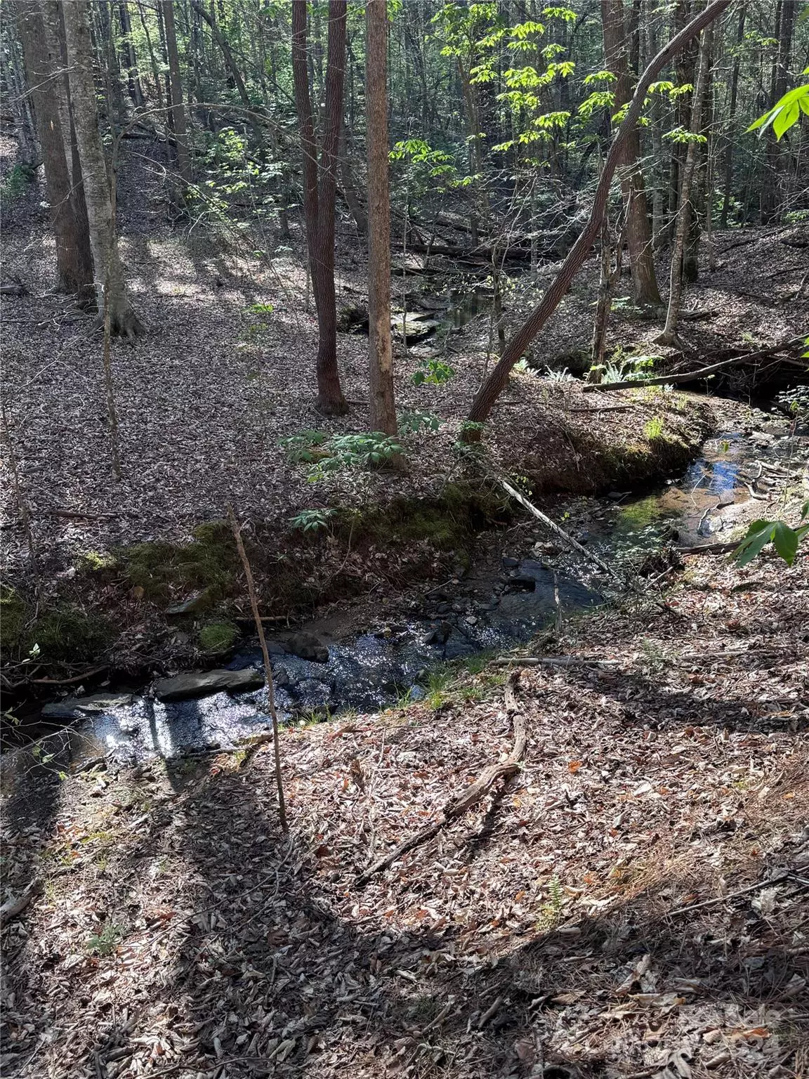 Rutherfordton, NC 28139,0 Clearwater Pkwy #30