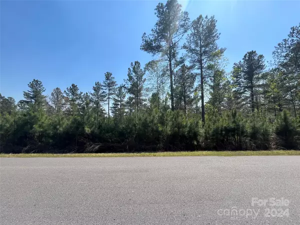 Granite Falls, NC 28630,Lot 155 Scenic LN