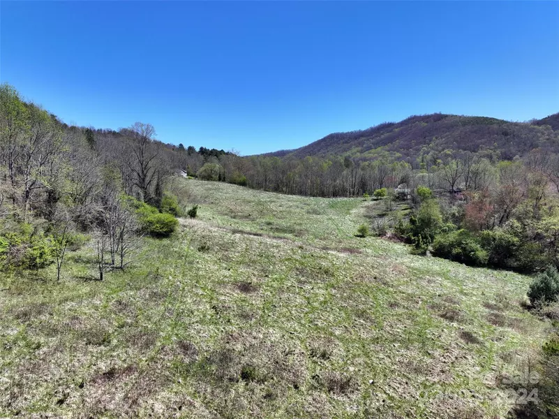 796 Upper Glady Fork RD, Candler, NC 28715