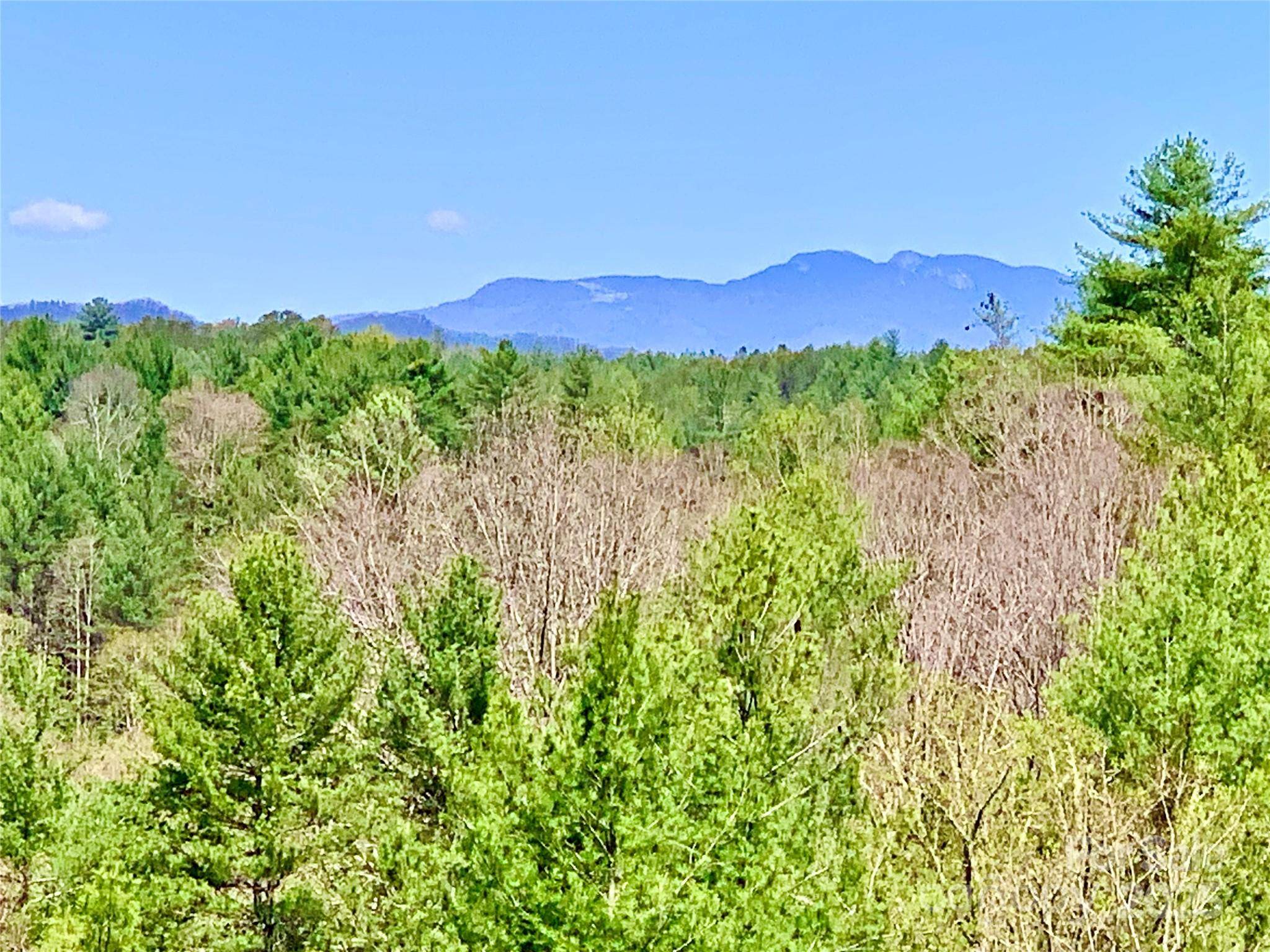 Lot 377 Table View LN #Lot 377, Lenoir, NC 28645