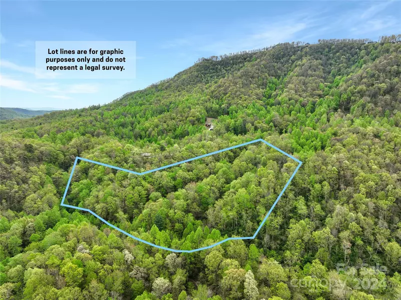 000 Bird Creek Estates RD, Black Mountain, NC 28711