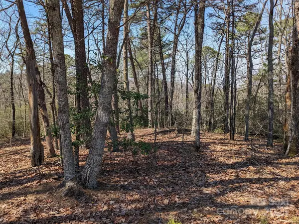 Connelly Springs, NC 28612,8636 Sleepy Hollow RD #12