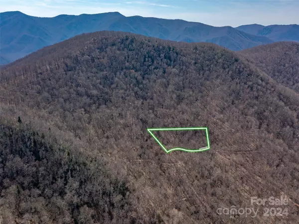 00 Deep Gap RD, Burnsville, NC 28714