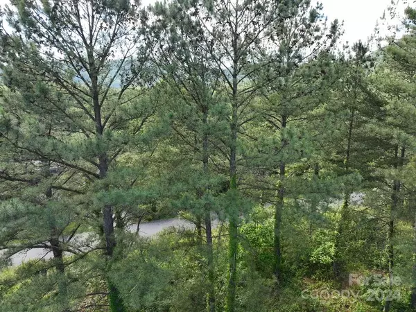 Lake Lure, NC 28746,223 (Lot 13) Easy ST