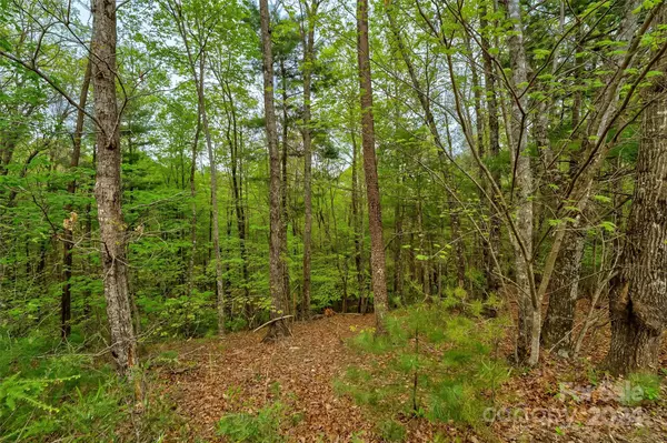 Nebo, NC 28761,619 High Trail DR