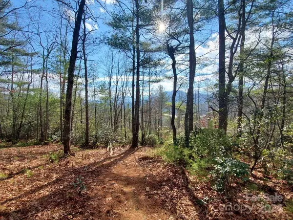 Bakersville, NC 28705,00 Elkins RD