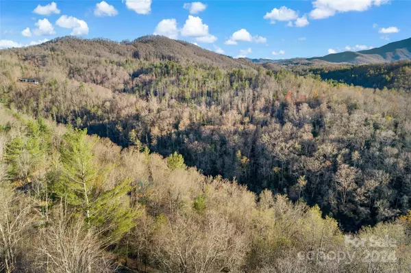 Burnsville, NC 28714,Lots: 62/63/64 High Peak DR